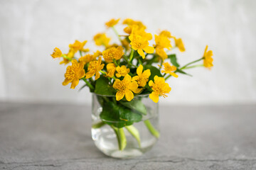 Yellow summer flowers on a gray background