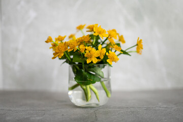Yellow summer flowers on a gray background