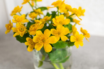 Yellow summer flowers on a gray background