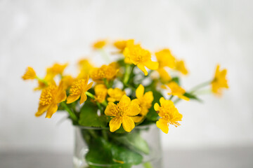 Yellow summer flowers on a gray background
