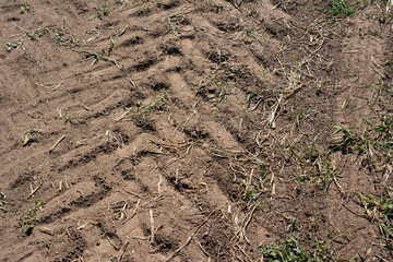 The imprint of the wheel tire on the dirty ground isolated, close up   