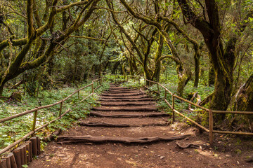 Obraz premium Beautiful footpath in the natural park of Garajonay in La Gomera, Canary Islands