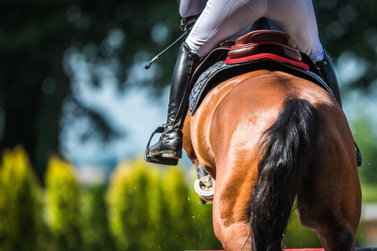 Professional horse rider jumping over the obstacle on show jumping competition. Equestrian sport theme.