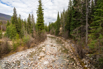 Maligne River in summer. Jasper National Park. Alberta, Canada.