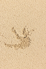 footprint in sand
