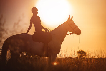 The silhouette of a horse rider and her horse against the background of sunset. - 602624154