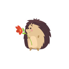 Cute funny hedgehog with flower in paws, flat vector illustration isolated.