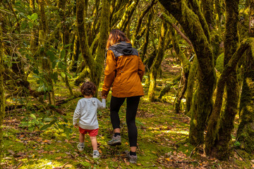 Mother and son hiking on a path in the Garajonay natural park on La Gomera, Canary Islands
