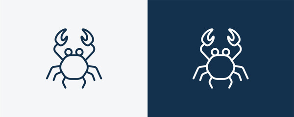 crab icon. Outline crab icon from travel and trip collection. Linear vector isolated on white and dark blue background. Editable crab symbol.