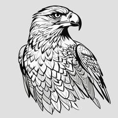 2D Line Art of Eagle B&W