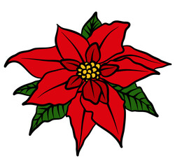 Red Poinsettia flower. Christmas flower vector design.