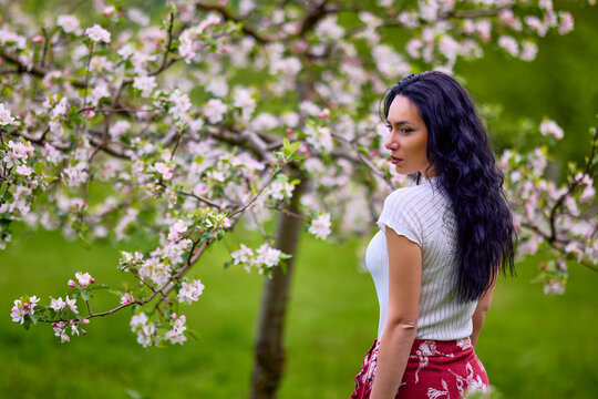 portrait of a beautiful brunette woman in a blossoming apple orchard