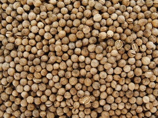 Whole coriander or cilantro seeds background 