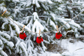 Red gloves hanging on a rope on spruce branches in the winter forest during snowfall. New Year's decoration on a Christmas tree