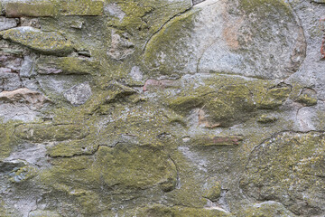 Ancient wall of reddish stones and cement with moss growing in different parts. 