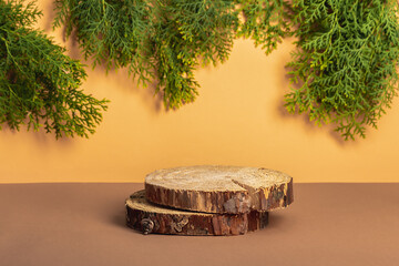 Natural style. Two wooden cutouts, round podiums with thuja branches on a beige background....