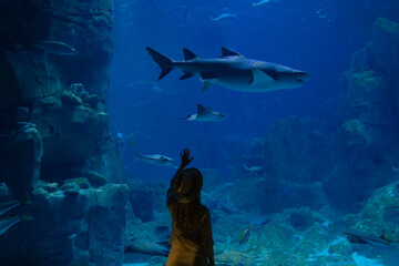 A young woman touches a stingray fish in an oceanarium tunnel