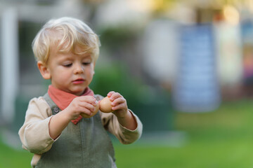 Portrait of happy little boy holding fresh eggs in garden.