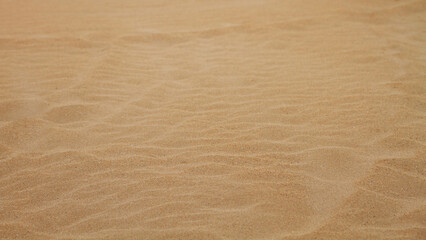 Sand Texture. Sand on the beach. Squeaks.
