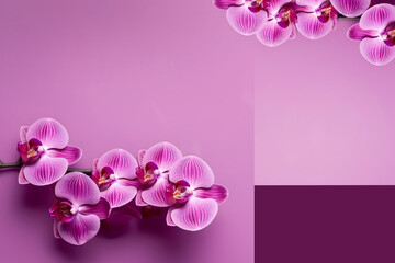 Fototapeta na wymiar Arrangements of orchids gift pink and white on graphic pink background with text space
