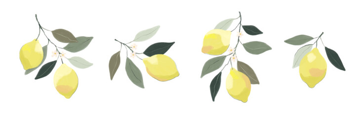 Set of lemon branches. Hand drawn tree branch with ripe lemons and leaves and flowers on white background. Vector illustration