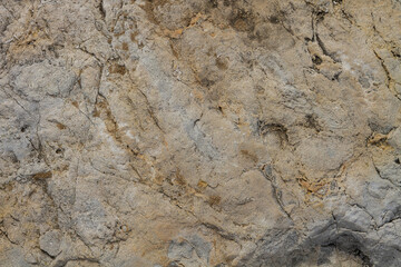 The texture of the stone is notched and mottled. holes notches grooves on the stone.