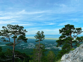 A cedars growing in the valley of the Sayan Mountains. Buryatia. Russia.