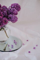 Bouquet of lilac flowers in a glass vase on a white background