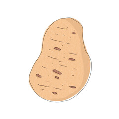 Potato