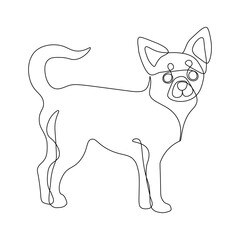 Chihuahua dog in one line