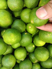 Exotic citrus fruit, lemon, or lime. Fresh and healthy fruit
