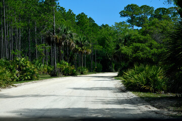 Obraz premium Country dirt road entrance to farm area background.