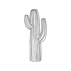 One Line Cactus Drawing, Continuous modern illustration