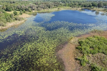 An aerial photo of Lake Chautauqua Nature Preserves in Tampa Bay, Florida.