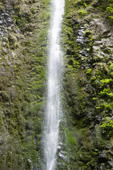 Fototapeta premium waterfall in levada caldera verde