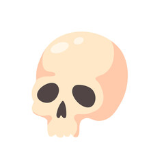 dead man skull cartoon halloween night horror