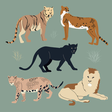 Set of different feline animals. Lion, panther, cheetah, tiger, jaguar. Vector flat illustration on a dark background.