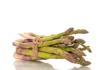 Several stalks of organic asparagus tied with jute rope, macro, isolated on white background.