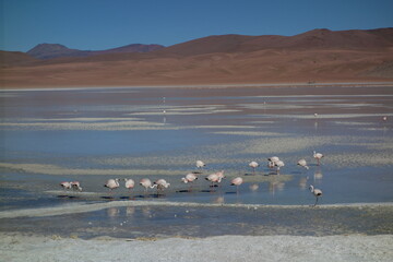 South Lipez