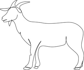The illustrations and clipart. an outline sketch of goat