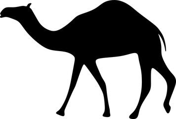 The illustrations and clipart. silhouette of a camel