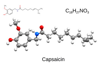 Chemical formula, skeletal formula and 3D ball-and-stick model of capsaicin, an active component of chili pepper