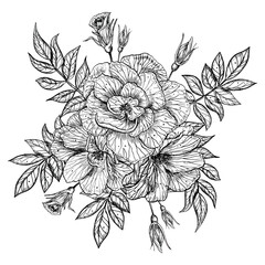 Bouquet of Rose Flowers. Hand drawn vector illustration on isolated background in outline style. Floral graphic drawing for greeting cards or wedding invitations. Engraving painted by black inks