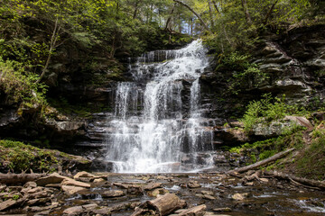 Fototapeta premium Nature's Staircase: A Grand Pennsylvania Waterfall Cascading Across Multiple Rock Levels Amidst Lush Green Foliage