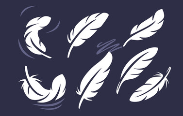 feather collection on dark background.