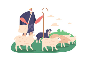 Shepherd Male Character And Dog Herding Sheep Using Vocal Commands And Physical Cues. The Dog Navigates