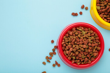 Wet and dry pet food in feeding bowls on light blue background. Space for text