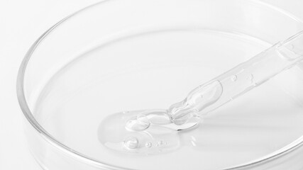 Transparent gel flowing from a pipette into a Petri dish. On a white background. Close-up.