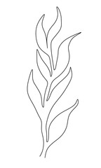 simple leaf continuous line drawing