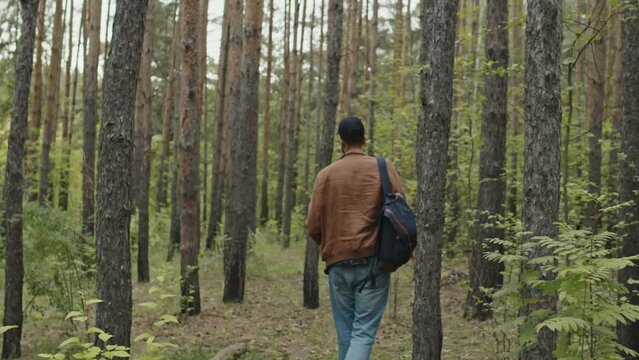 Tilt shot of young male Biracial lost tourist limping and looking around to find way in forest at daytime